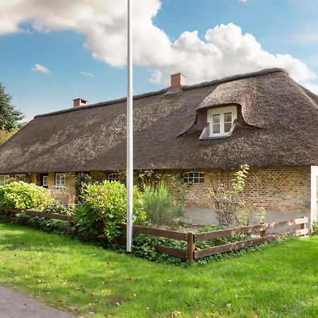 Reetdachhaus Zur Sandkuhle Ostenfeld  Eksteriør billede