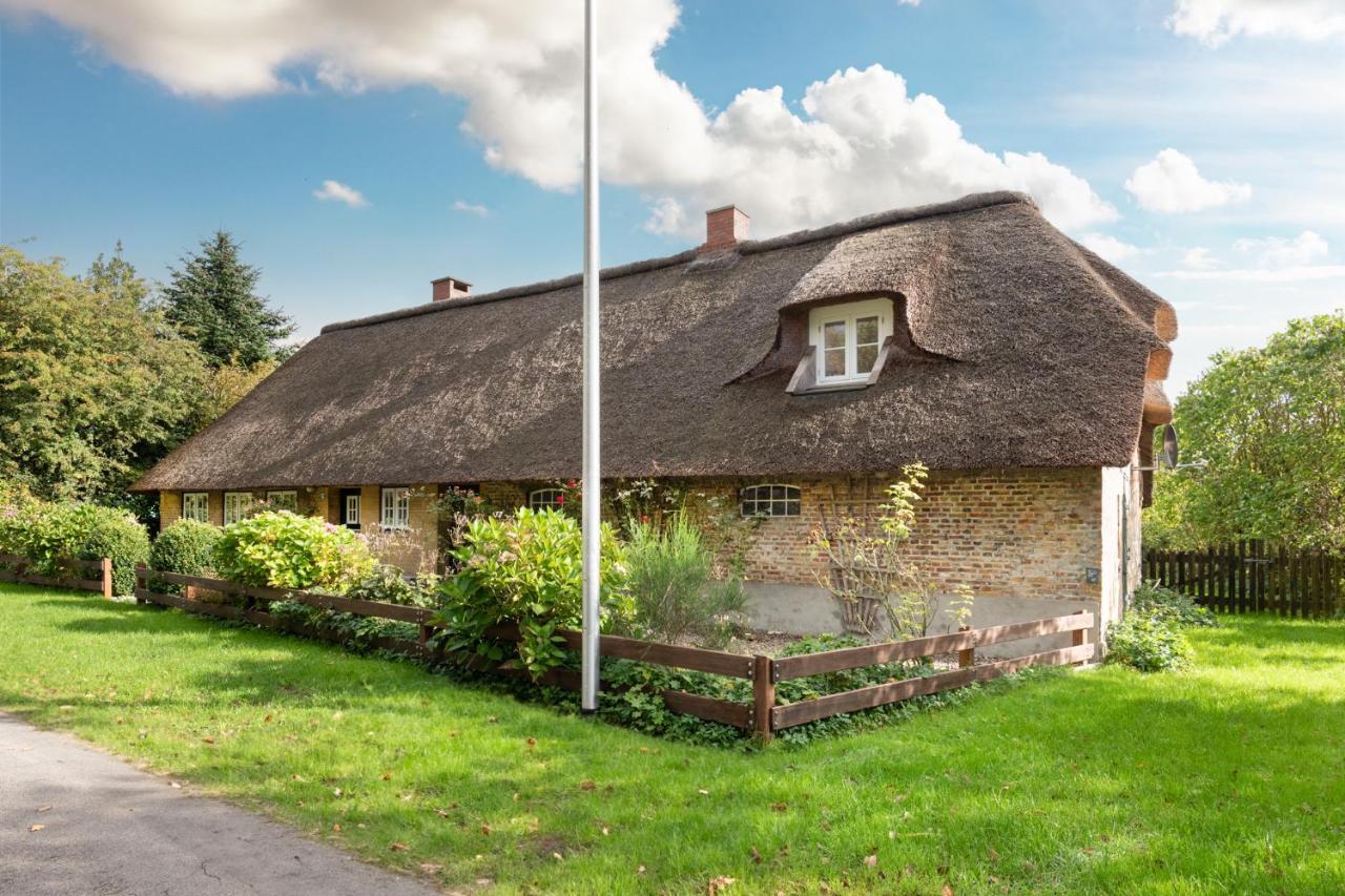 Reetdachhaus Zur Sandkuhle Ostenfeld  Eksteriør billede